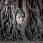 Ayutthaya Glittering Sunset, Boat Ride, Noted Sight, Local Market - Why This Tour Is Worth Considering