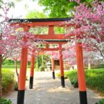 Ayutthaya Pass Save up to 53% - Includes Mayura's House - Practicalities and Tips