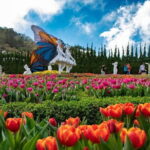 Ba Na Hills Golden Bridge Tour with options - A Detailed Look at What to Expect on the Ba Na Hills Golden Bridge Tour