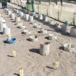 Baby Sea Turtle Releasing Sightseeing Tour with Luis de la Maza - Who Will Appreciate This Tour?