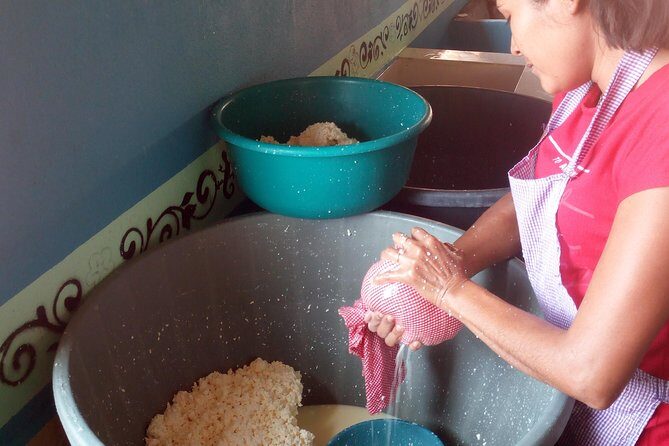 Baby sea turtles camp - A Thoughtful Look at Puerto Escondido’s Turtle Camp Experience