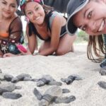 Baby Turtle Release - Who Should Consider This Tour?
