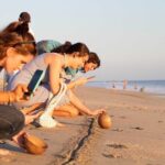 Baby Turtle Release Tour + Pick up + Courtesy in Puerto Escondido! - In-Depth Review: What to Expect from the Baby Turtle Release Tour