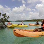 Bacalar Lagoon! Kayaks & Cenote Azul From Playa Del Carmen - A Detailed Look at the Bacalar Lagoon Tour
