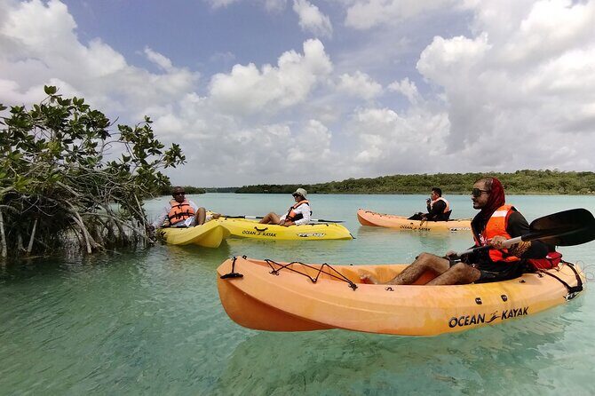 Bacalar Lagoon! Kayaks & Cenote Azul From Playa Del Carmen - A Detailed Look at the Bacalar Lagoon Tour