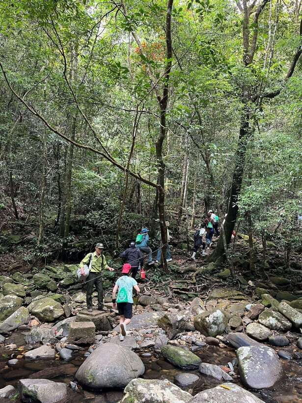 Bach Ma National Park Private Tour With Trekking, Waterfall - Who Is This Tour Best For?
