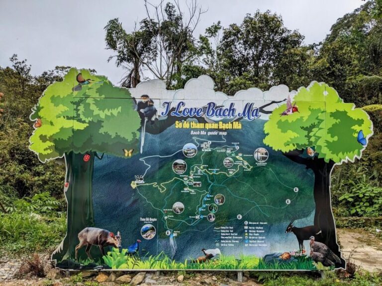 Bach Ma National Park Trekking Tour : Hoi An / Da Nang / Hue - A Deep Dive into the Bach Ma National Park Trekking Experience