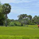 Back to Basics: Village Life Tour from Siem Reap - Who Will Love This Tour?