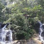 Back to Nature Tour - Templer's Park, Hot Spring & Batu Caves - Additional Practical Details