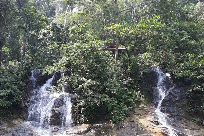 Back to Nature Tour - Templer's Park, Hot Spring & Batu Caves - Additional Practical Details