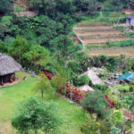 Baguio Whole Day Tour with Lunch (Private Tour) - Practical Aspects of the Tour