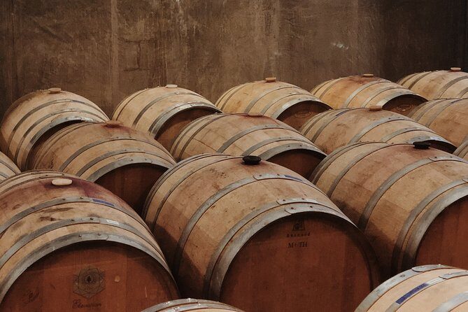 Baja Tour Guide wine tour - The Value of a Private, Tailored Wine Day