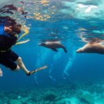 Balandra Bay Snorkeling Adventure - Frequently Asked Questions