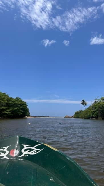 Balapitiya: Madu River Boat Tour - What to Expect from the Tour