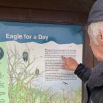 Bald Eagles Nesting Area Tour at Skagit River - Who Will Love This Tour?