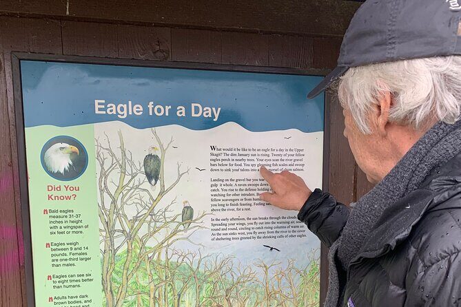 Bald Eagles Nesting Area Tour at Skagit River - Who Will Love This Tour?