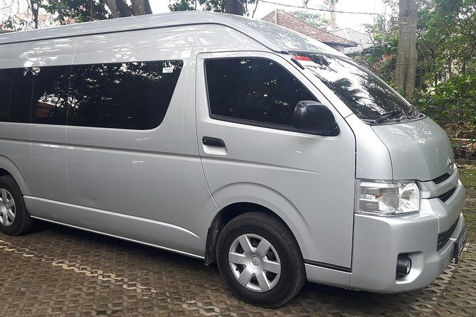 Bali Airport to Hotel-Private Arrival Transfer - Final Thoughts: Who Will Appreciate This Service?