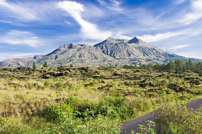 Bali: All Inclusive in Kintamani Private Tour - The Sum Up