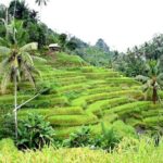 Bali ATV Ride Adventure and Kintamani Mt. Batur Volcano View - Practical Considerations and Tips