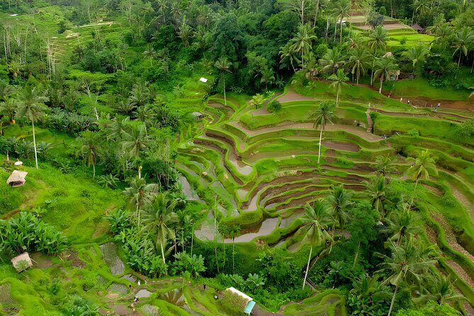Bali ATV Ride And Ubud Tour Packages : Best Quad Bike Trip - The Full Lowdown on the Bali ATV and Ubud Tour