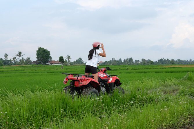 Bali ATV RIDE Quad Bike Adventure Tour - Analyzing the Value
