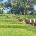 Bali ATV Ride Ubud Jungle Track - Final Thoughts: Is It Worth It?