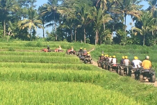 Bali ATV Ride Ubud Jungle Track - Final Thoughts: Is It Worth It?