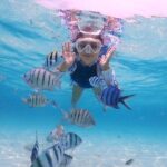 Bali Best Snorkeling Blue Lagoon with Lunch & Guide - Breaking Down the Bali Blue Lagoon Snorkeling Tour