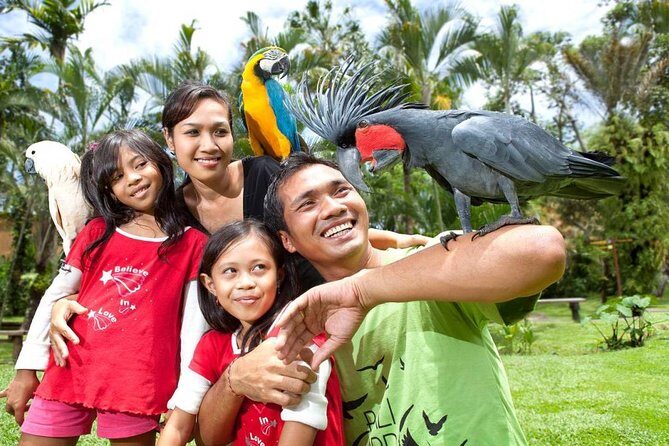Bali Bird Park Admission Ticket with Hotel Transfer - An In-Depth Look at the Bali Bird Park Experience