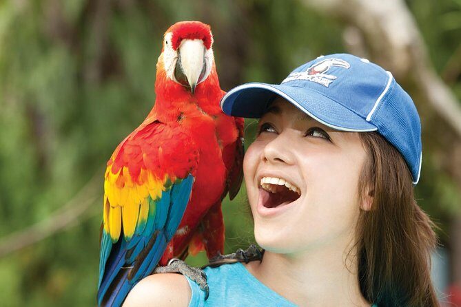 Bali Bird Park Admission Ticket - The Practical Side: Pricing, Planning, and Tips