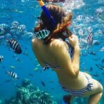 Bali Blue Lagoon Snorkeling with Private Transfer & Lunch - Why This Tour Offers Great Value