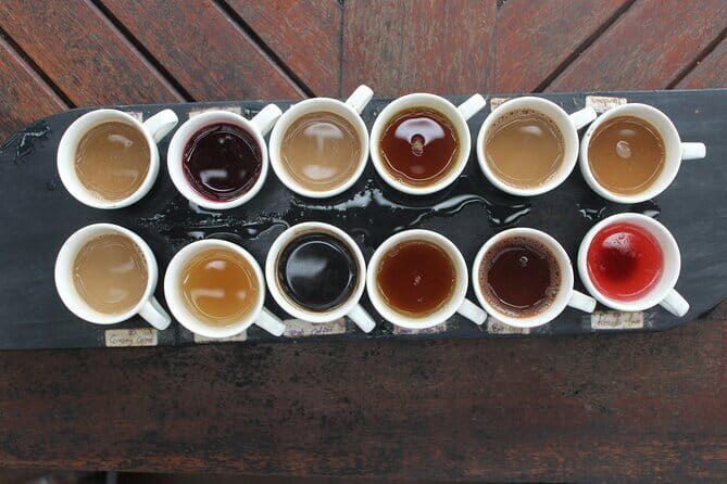 Bali Classic Volkswagen Safari and Kintamani Volcano Private Tour - Kintamani Highland and Mount Batur Views