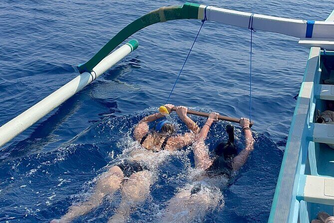 Bali : Dolphin Sunrise Experience Tour Private All Inclusive - Who Is This Tour Best For?