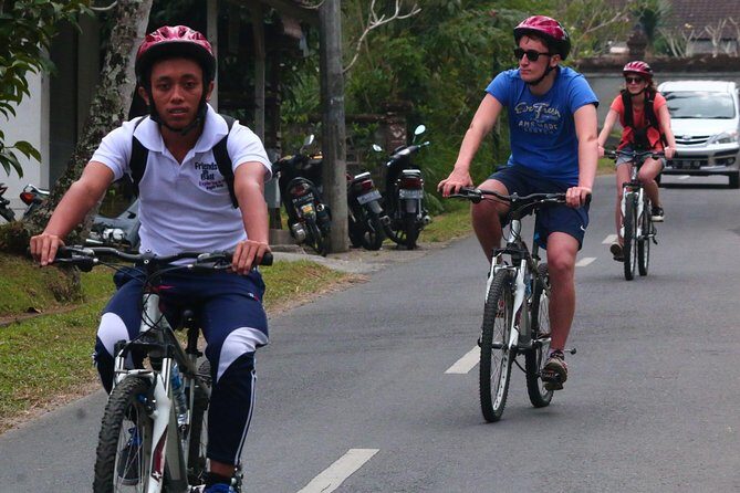 Bali Downhill Cultural Cycling Tour - Key Points