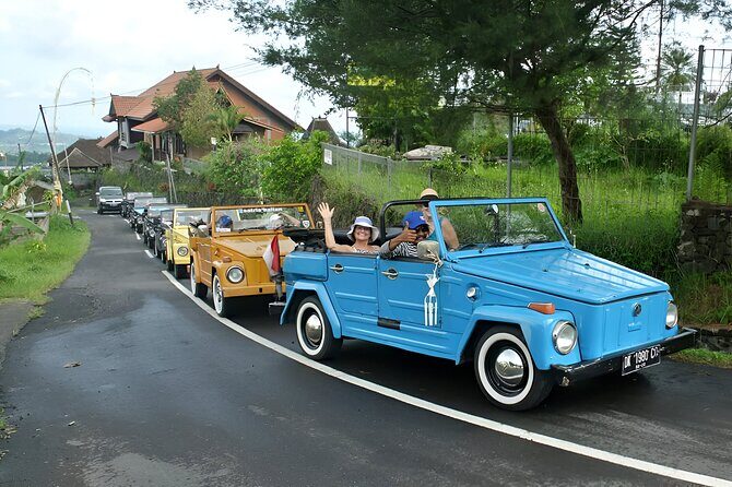 Bali Full-Day Best of Ubud Tour by VW Safari Classic Car - The Charm of Vintage Travel