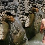 Bali Full-Day Car Charter: Beauty of North Bali Tour - The Complete Experience: A Thorough Look at the North Bali Tour