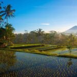 Bali Full Day Photography Tour - Exploring Bali’s Natural Beauty and Cultural Heritage Through Your Lens