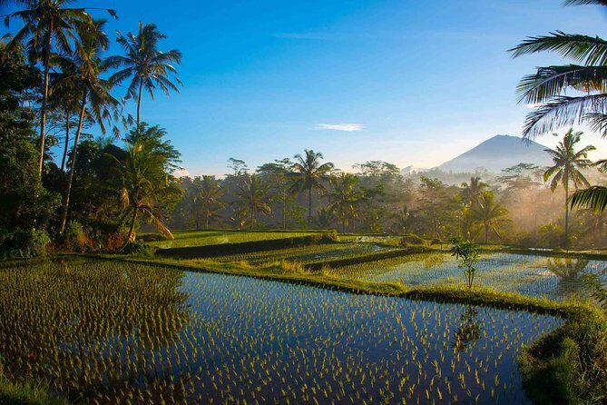 Bali Full Day Photography Tour - Exploring Bali’s Natural Beauty and Cultural Heritage Through Your Lens