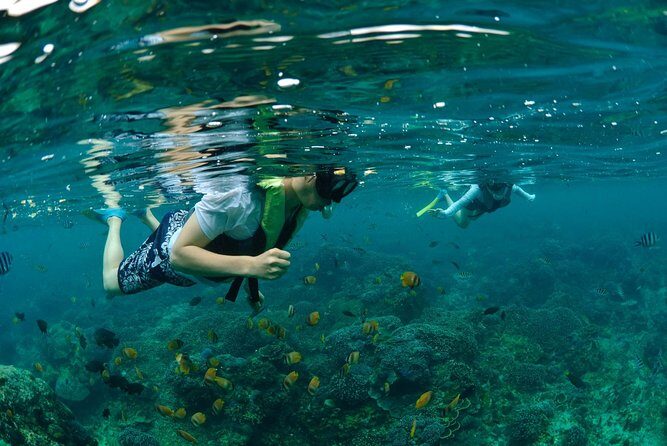 Bali Hai - Aristocat Sailing Cruise - Whats Included and Whats Not