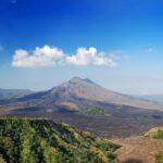 Bali Highlights : Private 2 Day Bali Tours - Who Will Love This Experience?