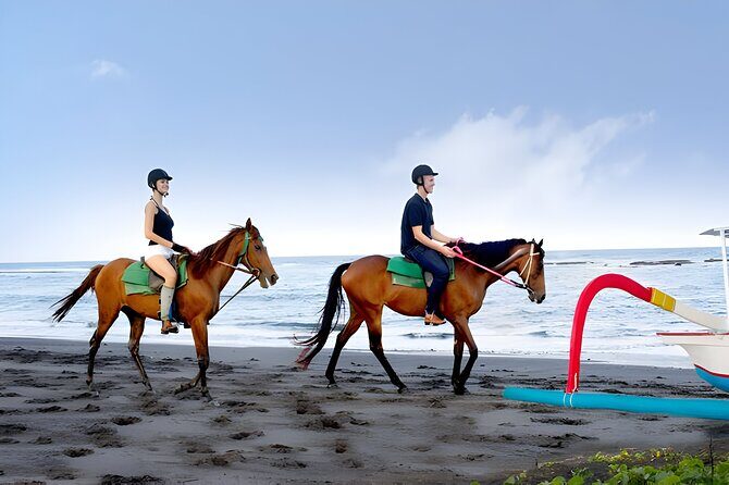 Bali Horse Riding in Saba Bay for 1 Hour with Pick Up Service - An In-Depth Look at the Bali Horse Riding Experience