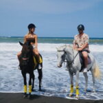 Bali Horse Riding Trot & Canter Sanur Beach include Transport - The Bottom Line: Who Will Love This?
