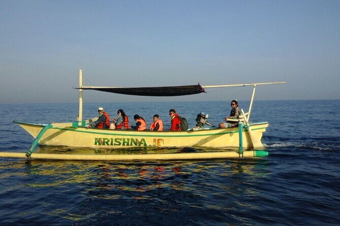 Bali Lovina Dolphin and North Bali Sightseeing - All Inclusive - A Deep Dive into North Bali’s Best Sights