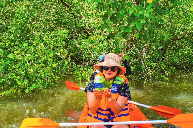 Bali Mangrove Canoeing Tour - An In-Depth Look at the Bali Mangrove Canoeing Tour