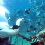 Bali Ocean Walker - Practical Information & Tips