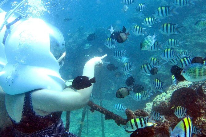 Bali Ocean Walker - Practical Information & Tips