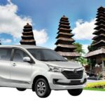 Bali Private Car and Customize Tour With English Speaking Driver - Who Will Love This Tour?