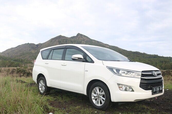 Bali Private Full Day Tour to Visit the Best Waterfalls and Swing near Ubud - What Travelers Are Saying