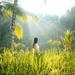 Bali Private Photographer & Drone - A Closer Look at the Itinerary