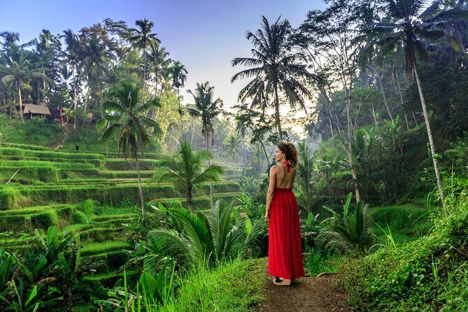 Bali Private Tour - Best of Ubud - All Inclusive - Authentic Experiences and Cultural Insights